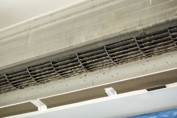 Best Home Air Vent Cleaning  in Paul, ID